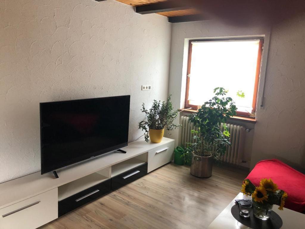 شوبفهايم Ferienwohnung Zur Sonnenterasse In Gersbach المظهر الخارجي الصورة
