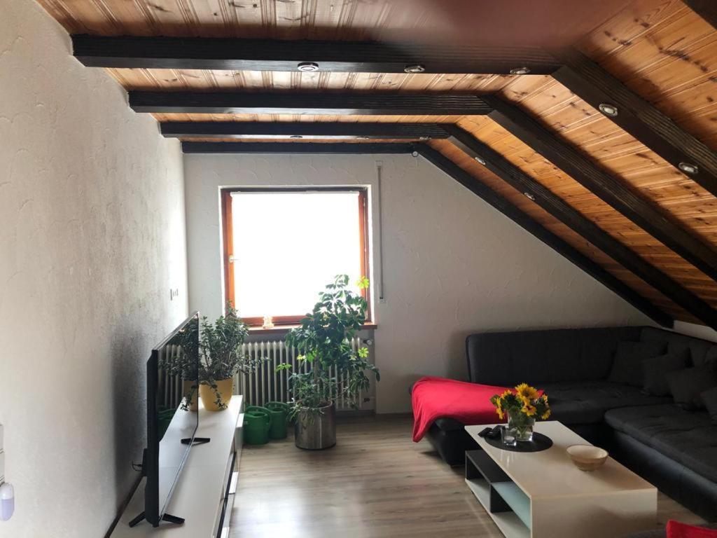 شوبفهايم Ferienwohnung Zur Sonnenterasse In Gersbach المظهر الخارجي الصورة